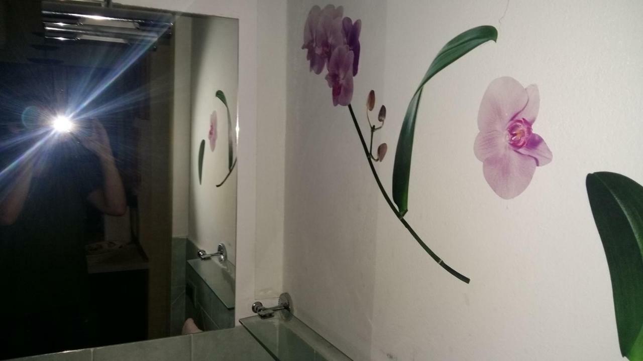 Appartamento Gori 2 锡耶纳 外观 照片